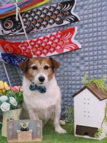 20230502こはるちゃん